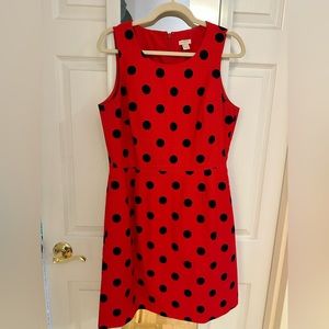 J. Crew Polka Dot Ladybug Dress 10